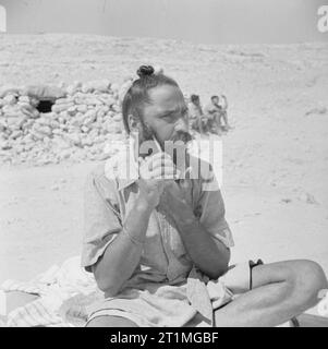 Bureau de la guerre Seconde Guerre Mondiale avec la collection officielle les Sikhs dans le désert occidental le Sikh est très fier de sa barbe et ses cheveux, et les photos suivantes montrent un membre d'un régiment Sikh en passant par sa toilette matinale. Une des étapes dans le dressing de la barbe et les cheveux, un long travail à faire à la première heure. Prises par le lieutenant Vanderson 06/08/41 W.O. N° 241 Affectation Banque D'Images