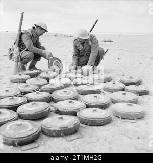 Les Forces du Commonwealth en Afrique du Nord de l'Afrique du Sud en 1941 sapeurs allemand Teller mines coffre, 12 Janvier 1942 Banque D'Images