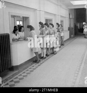 La démobilisation de l'armée britannique serveuse belge se préparer à servir un repas de midi dans la salle à manger de l'agent à Tournai de presse Camp. Banque D'Images