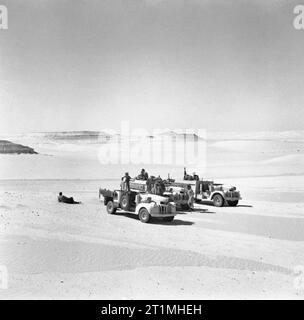 LRDG (Long Range Desert Group) Chevrolet 30 100 lb-camions, 25 mai 1942. Trois Long Range Desert Group 30 cwt-camions Chevrolet, entourée de désert. Banque D'Images