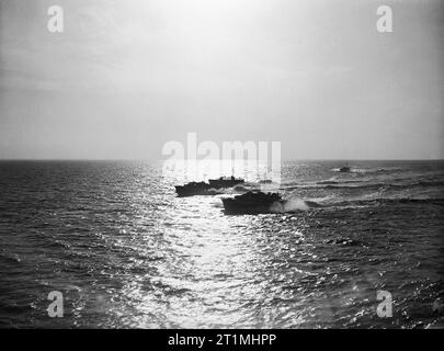 Vedettes de la Marine royale (motor torpedo boats) de retour d'une aube E-voile patrouille au large de Cherbourg, juin 1944. Silhouetté par le soleil, des torpilleurs à moteur de revenir après l'aube d'une anti-E-voile patrouille au large de Cherbourg. Banque D'Images