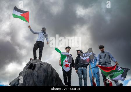 Londres, Royaume-Uni. 14 octobre 2023 : des manifestants pro-palestiniens se tiennent debout sur la statue du lion géant sur la place Trafalgar tenant un drapeau palestinien et une pancarte en soutien à la Palestine et contre les attaques israéliennes sur Gaza. Banque D'Images