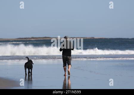 Un homme marchant sur Good Harbor Beach, Gloucester près de l'océan avec un chien noir dans la vue arrière Banque D'Images