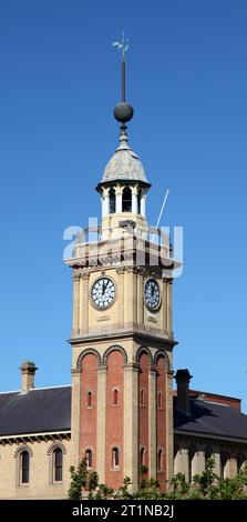 La tour de l'horloge de la maison des douanes. Point de repère important à Newcastle Australie. Le bâtiment a été conçu construit en deux étapes entre 1874 et 1899. Banque D'Images