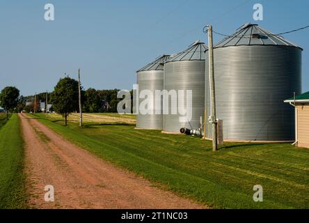 Farm & silos  Tyne Valley, Île-du-Prince-Édouard, CAN Banque D'Images