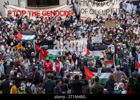 Cambridge, Massachusetts États-Unis 14 octobre 2023 des étudiants diplômés de Harvard pour la Palestine se rassemblent sur les marches de la bibliothèque Widner, Université Harvard, Cambridge, Massachusetts. Le rassemblement a été suivi par environ 300 personnes, beaucoup n'étaient pas liées à Harvard. (Rick Friedman ) crédit : Rick Friedman/Alamy Live News Banque D'Images