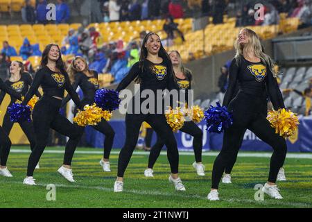 Pittsburgh, Pennsylvanie, États-Unis. 14 octobre 2023. Pitt Panthers encourage les joueurs lors du match d'avant-match entre les Pitt Panthers et les Cardinals de Louisville au stade Arisure de Pittsburgh, Pennsylvanie. Brent Gudenschwager/CSM/Alamy Live News Banque D'Images