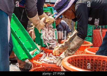 Village de pêcheurs de Samaesan, Thaïlande, 1 septembre 2023 : des ouvriers versent du poisson recouvert de glace pilée dans les paniers d’orange des acheteurs potentiels. Banque D'Images