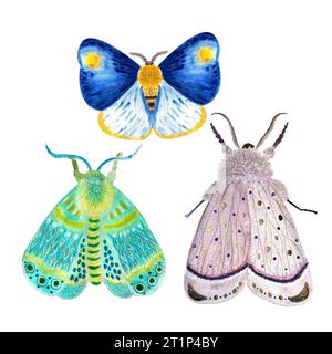 Hand painted watercolor butterflies set Banque D'Images