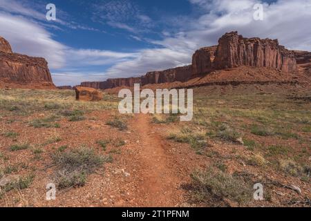 randonnée sur le sentier de printemps en alcôve dans le parc national de canyonlands, états-unis Banque D'Images