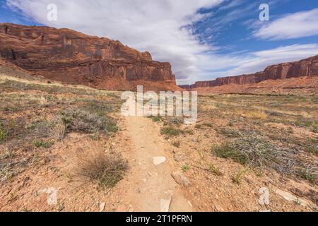 randonnée sur le sentier de printemps en alcôve dans le parc national de canyonlands, états-unis Banque D'Images