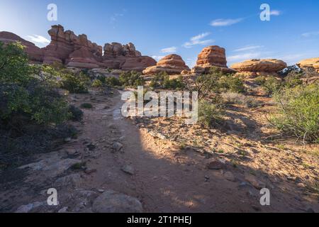 randonnée sur le sentier de boucle du parc chesler dans le parc national de canyonlands, états-unis Banque D'Images