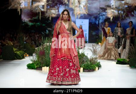 New Delhi, Inde. 14 octobre 2023. Un modèle présente une création du designer indien Anju Modi lors de la Lakme Fashion week x FDCI à New Delhi, Inde, le 14 octobre 2023. Crédit : Javed Dar/Xinhua/Alamy Live News Banque D'Images