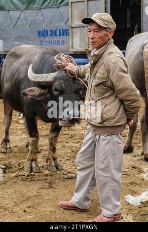 Bac Ha, Vietnam. Water Buffalo Market. Province de Lao Cai. Banque D'Images