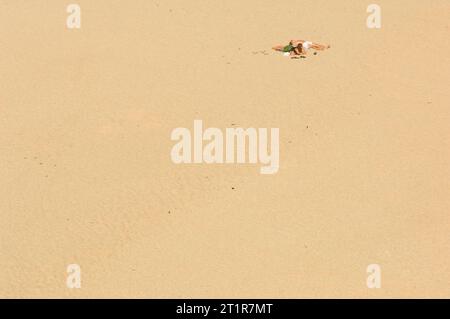 Couple isolé bronzer sur une plage de Cornouailles - John Gollop Banque D'Images