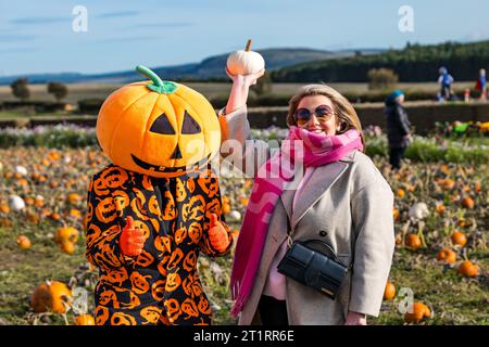 Kilduff Farm, East Lothian, Écosse, Royaume-Uni, 15 octobre 2023. Festival de potiron : le populaire patch de potiron ouvre ce week-end avec les visiteurs appréciant les citrouilles culinaires et d'Halloween et le temps ensoleillé. Sur la photo : un épouvantail excentrique à la citrouille. Crédit : Sally Anderson/Alamy Live News Banque D'Images