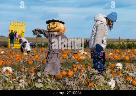 Kilduff Farm, East Lothian, Écosse, Royaume-Uni, 15 octobre 2023. Festival de potiron : le populaire patch de potiron ouvre ce week-end avec les visiteurs appréciant les citrouilles culinaires et d'Halloween et le temps ensoleillé. Sur la photo : un épouvantail excentrique à la citrouille. Crédit : Sally Anderson/Alamy Live News Banque D'Images