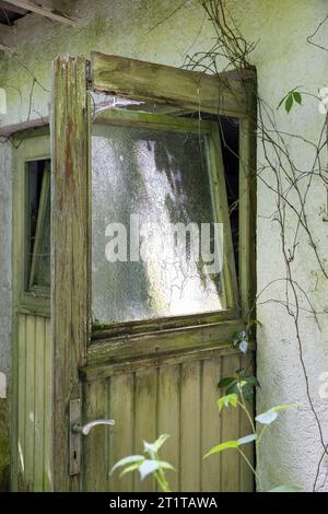 Lieu perdu dans la forêt avec vieille porte en verre cassée Banque D'Images