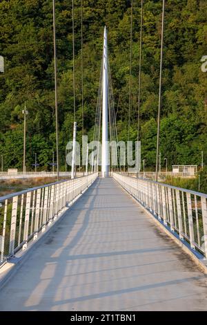 Pont suspendu métallique pour piétons avec câbles en acier sur la rivière Neckar près de Hassmersheim avec reflets Banque D'Images