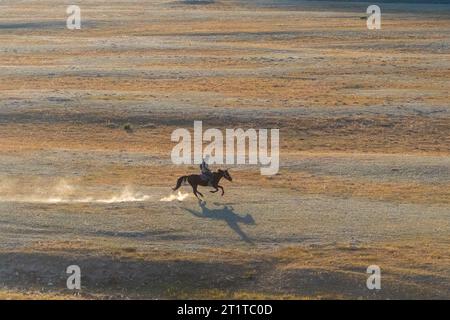 Galops de cheval kirghize sur un cheval Banque D'Images