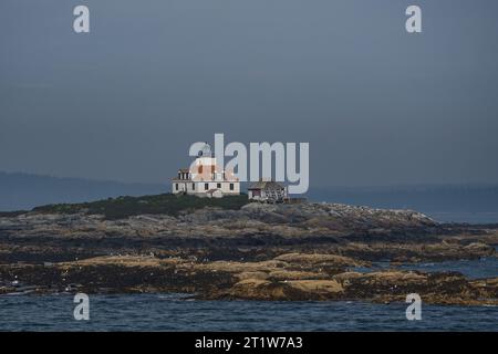Phare d'Egg Rock dans Frenchman Bay dans le Maine. Banque D'Images