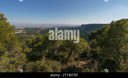 Vue sur le Bardena Negra ou le paysage de désert noir de Bardenas Reales avec végétation, Navarre, Espagne Banque D'Images