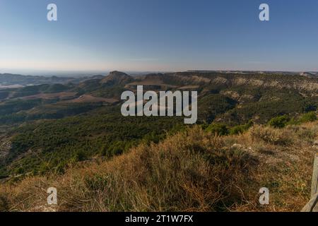 Vue sur le Bardena Negra ou le paysage de désert noir de Bardenas Reales avec végétation, Navarre, Espagne Banque D'Images