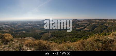 Vue panoramique sur le Bardena Negra ou le paysage de désert noir de Bardenas Reales avec végétation, Navarre, Espagne Banque D'Images