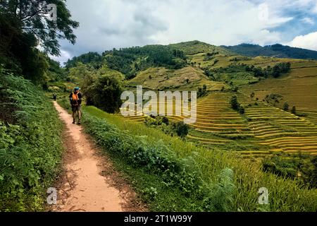 Trekking à travers les terrasses de riz étonnantes de Mu Cang Chai, yen Bai, Vietnam Banque D'Images