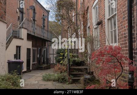 Regardant vers le bas une ruelle étroite à des marches allant vers le haut avec un arbre acer rouge et un figuier avec des fruits Banque D'Images