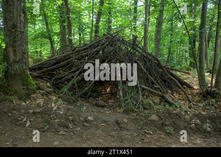 Cabane de branche en bois pour les enfants au milieu de la forêt verte comme refuge Banque D'Images