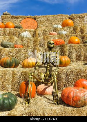 Pyramide en meule de foin avec citrouilles exposées Banque D'Images