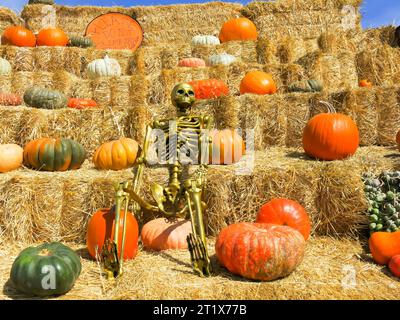Pyramide en meule de foin avec citrouilles exposées Banque D'Images