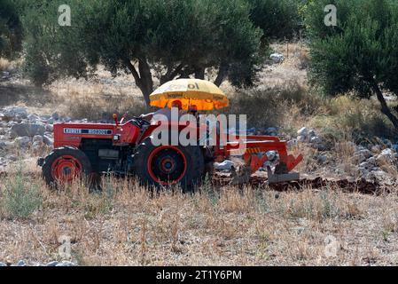 Malia, Crète, Grèce, Europe. 27.09.2023. Agriculteur conduisant un tracteur rouge avec un parapluie pour ombrager le soleil tout en labourant une petite parcelle de terres agricoles Banque D'Images