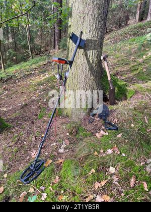 Recherche dans la forêt avec un détecteur de métaux Banque D'Images