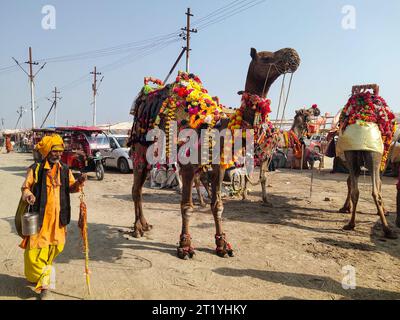 PRAYAGRAJ, UTTAR PRADESH, INDE - 14 AOÛT 2023 : homme indien et chameau au lever du soleil. Banque D'Images