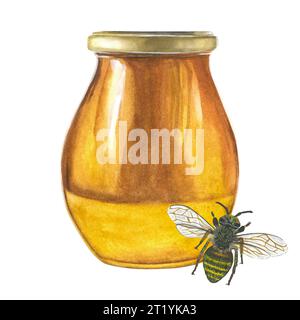 Illustration à l'aquarelle d'un pot de miel en verre avec un couvercle et une abeille. Isolé sur un fond blanc, dessiné à la main. Banque D'Images