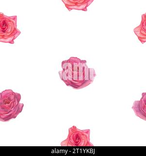 Illustration aquarelle de roses roses - Seamless pattern.Isolated sur un fond blanc, dessiné à la main Banque D'Images