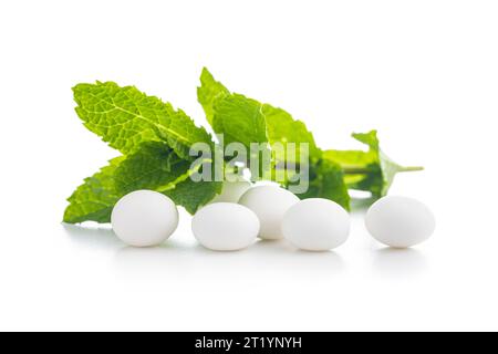 Bonbons à la menthe. Bonbons menthol et feuilles de menthe isolés sur fond blanc. Banque D'Images