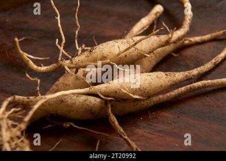 Gros plan du légume Chocolate Lily tubercule une nourriture de Bush originaire d'Australie sur une planche de bois Banque D'Images