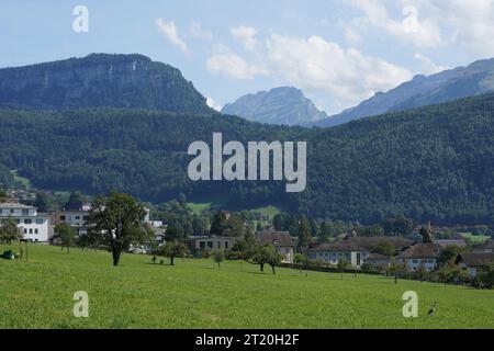 Environs de la ville de Schwyz en Suisse. Il y a des montagnes ainsi que des prairies, des vergers et des maisons. Banque D'Images