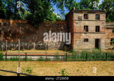 Verlassenes, baufälliges Gebäude, integriert in die alte historische Stadtmauer von Namyslow (Namslau), Woiwodschaft Opole, Polen. Abandonné, dilapida Banque D'Images