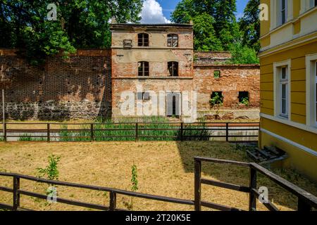 Bâtiment abandonné et délabré intégré dans la vieille muraille historique de la ville de Namyslow (Namslau), voïvodie d'Opole, Pologne. Banque D'Images