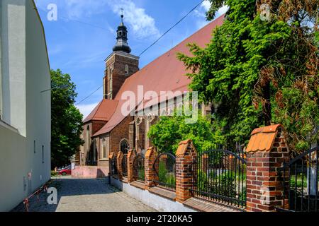 Église paroissiale catholique romaine de St. Pierre et Paul, un important bâtiment gothique, à Namyslow (Namslau), voïvodie d'Opole, Pologne. Banque D'Images