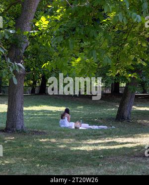 Jeune femme aux cheveux longs et aux cheveux foncés sur un pique-nique dans le parc dans une robe d'été Banque D'Images