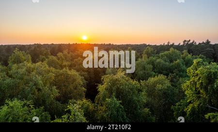 Une perspective aérienne à couper le souffle capturant la beauté sereine d'un ciel de coucher de soleil dégradé, passant du bleu profond à l'orange vif, avec le soleil embrassant la cime des arbres dorée dans une chaleur radieuse. Coucher de soleil aérien au-dessus des Golden Treetops. Photo de haute qualité Banque D'Images