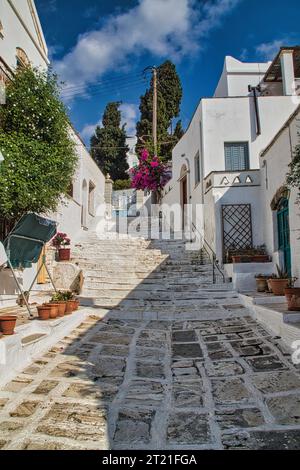 Un escalier menant sur le côté d'un immeuble résidentiel, orné de fleurs roses en fleurs Banque D'Images