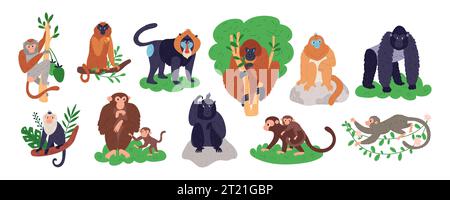 Personnages de singes de dessin animé. Différentes races de primates. Mammifères drôles tropicaux. Chimpanzé ou babouin. Animaux Anthropoïdes. Les habitants de la jungle. Gorilla et Illustration de Vecteur