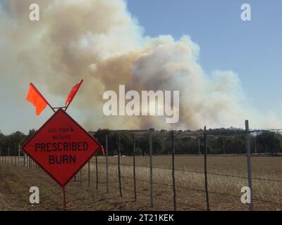 Un panneau de fumée avertit les conducteurs dans la zone d'un incendie prescrit au Balcones National Wildlife refuge au Texas. Ces signes font partie des mesures de sécurité en cas de brûlures contrôlées. Lieu : Texas, États-Unis. Banque D'Images