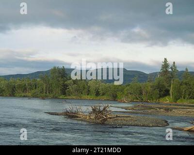 Les débris ligneux de la pittoresque rivière Kwethluk fournissent un habitat au poisson. Three-Step Mountain est en arrière-plan. Image prise en 1991. Sujets : paysages ; bureaux locaux ; Kenai Fishes and Wildlife Field Office ; refuges pour la faune ; Yukon Delta National Wildlife refuge ; YUDE ; Kenai FO Gallery ; Alaska. . 1998 - 2011. Banque D'Images